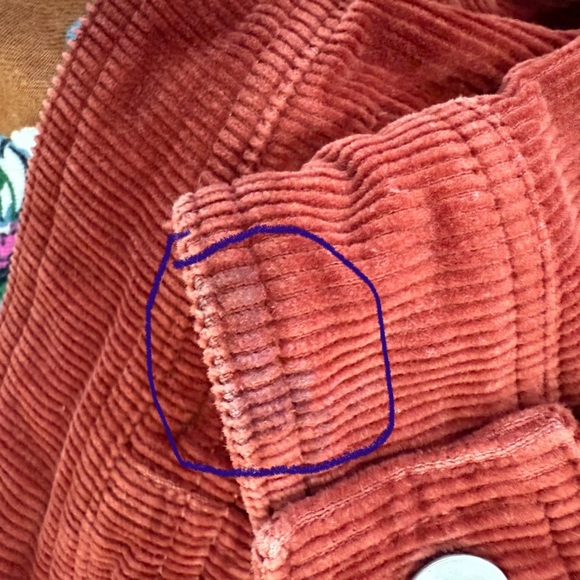 Anthropologie Pilcro and the Letterpress corduroy jacket  Size SP - Picture 6 of 8